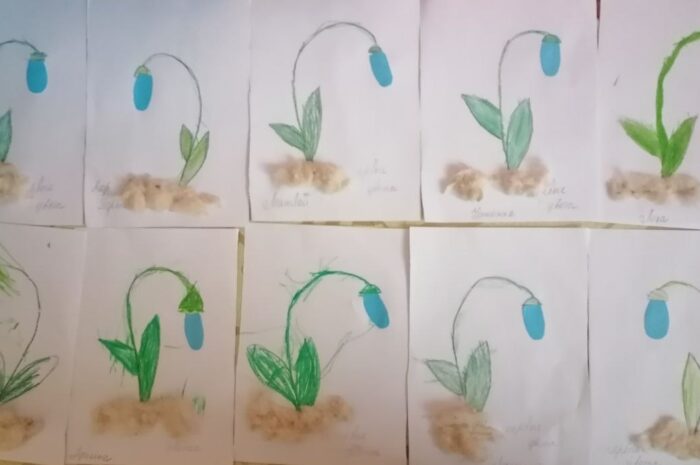 Выглянул подснежник